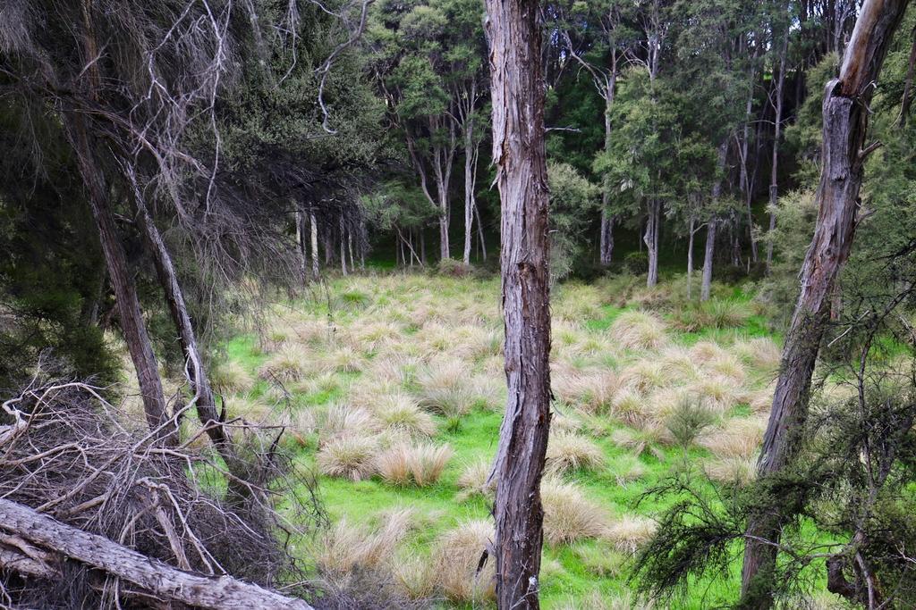 Villa Kahutara Purepod Kaikoura Esterno foto